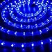 WYZworks 288LEDs, 25ft LED Blue Outside Rope Light, Connectable Outdoor ETL Certified Permanent Waterproof Accent Exterior Lighting, Flexible Clear PVC, ETL Certified, Yard Patio Palm Tree