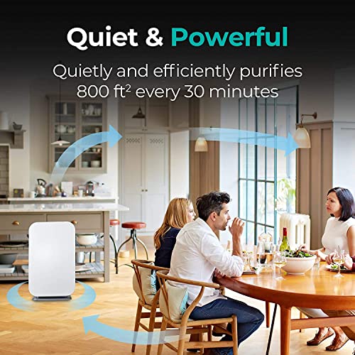 Alen 45i Air Purifier, Quiet Air Flow for Large Rooms, 800 SqFt, Air