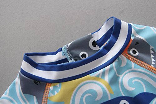 BANGELY Kids Baby Boy Summer Long Sleeve One Piece Rash Guard Swimsuit Sun Protection Swimwear Size 24-36M (Ligh Blue)