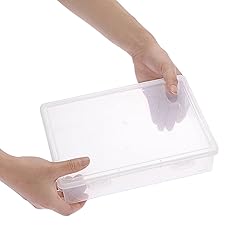 BTSKY Clear Plastic Storage Box with Flap