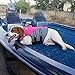 VIVAGLORY Sports Style Dog Life Vest, Dog Life Jacket for Swimming & Boating, Ripstop & Buoyancy for Puppy Doggy, Lifejacket with Handle, M, Pink