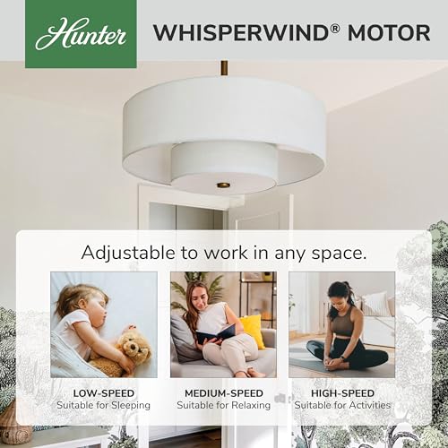Hunter - Brookside Indoor Fandelier With Light, Remote, 30-inch, Casual-style, 3-speed WhisperWind Motor, 52974, Ceiling Fans for living rooms, bedrooms, home offices, kitchens (Luxe Gold) | Compact indoor fandelier with enclosed blades, LED light, remote, and statement style for bedrooms, offices, or small spaces.