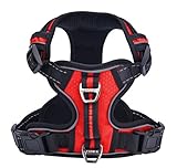 PUPTECK Best Front Range No-Pull Dog Harness with Vertical Handle,Calming Adjustable Reflective Outdoor Adventure Pet Vest,Red L