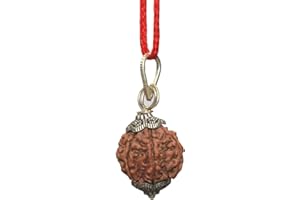 IndianStore4All 6 Mukhi Nepal Rudraksha Penadnt 100% Original Six Face Rudraksha