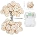 DecorNova 19.7 Feet 30-LED Battery Powered Rattan Ball String Lights with Waterproof 3AA Battery Case,2 Lighting Modes, Multi Colors