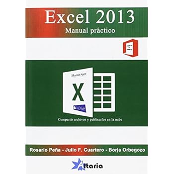 Excel 2013: manual práctico