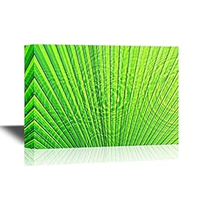 Texture of Green Palm Leaf