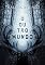 Livro O Outro Mundo
