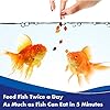 Aquarian Goldfish Food Flakes, 50g