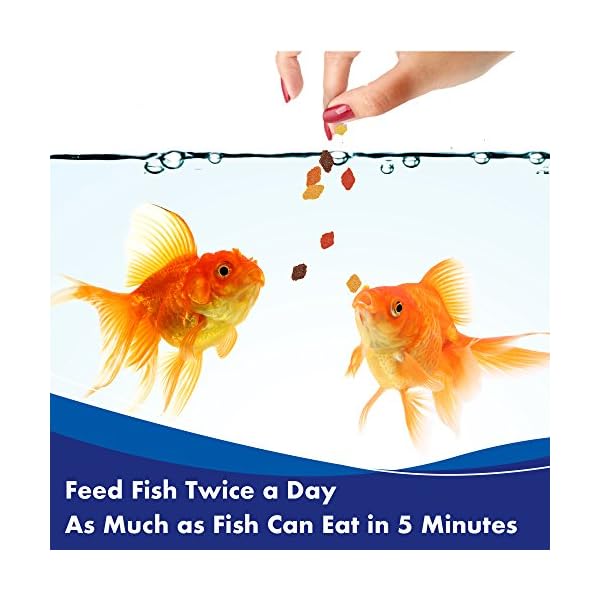 Aquarian Goldfish Food Flakes, 50g