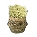 LEEPES Large Natural Woven Seagrass Plant Basket Tote Belly Basket for Storage,Laundry, Picnic,Plant Pot Cover,and Beach Bag Home Decor(10
