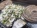 Ghost Pepper & Carolina Reaper Seasoning and Dry Rub Mix, aka: GHOST REAPER, Award Winning, Special Spice Blend, Great on Everything! Grilling, Smoking, Cooking, or Baking! By: Big G's Food Service