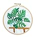 Unime Full Range of Embroidery Starter Kit with Partten, Cross Stitch Kit Including Embroidery Cloth with Color Pattern, Bamboo Embroidery Hoop, Color Threads, and Tools Kit (Monstera)