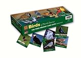 Memory Game Birds of North America 