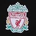 Liverpool Football Club Official Soccer Gift Mens Fleece Zip Hoody