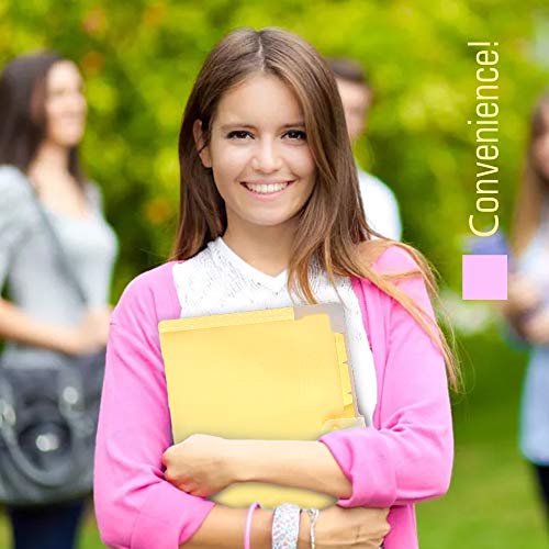 Expanding File Folder 8 Pockets, A4 Paper Harmonium File, Kawaii