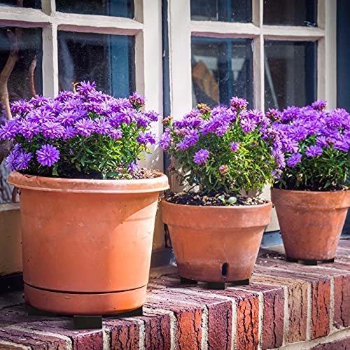 40 Pack Pot Feet for Outdoor Planters& Adhesive PadsInvisible Plant