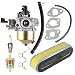 Hilom 16100-ZE6-W01 Carburetor for Honda HR194 HR195 HR214 HRA214 HR215 HR216 HRA216 HRC216 5.5hp Lawn Mower GXV120 GXV140 GXV160 Motor Engine