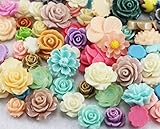 50g Mixed Assorted Flat Back Resin Flower Cabochon Craft DIY Hairpin Headwear/Phone/Scrapbooking