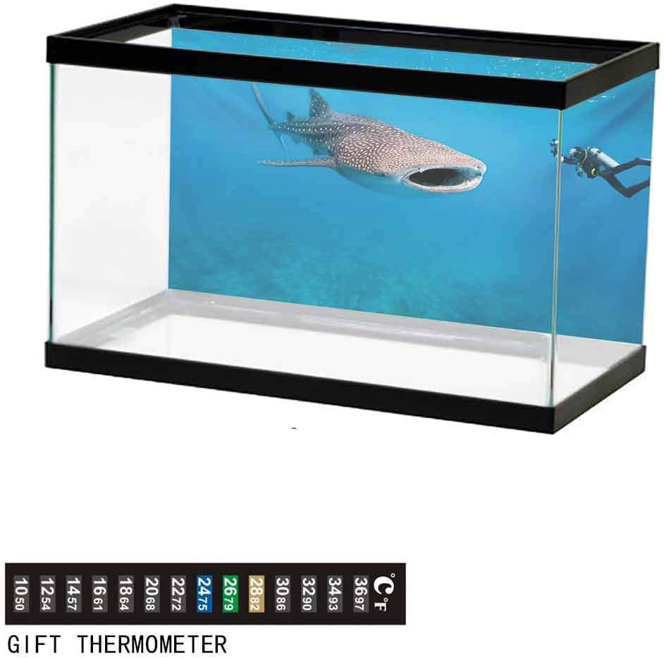 wwwhsl Aquarium Background,Static Cling,Fear Management Leadership Concept with A Penguin Holding Shark Humor Design Underwater Poster Fish Tank Wall Decorations Sticker