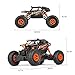 Theefun 1:18 2.4Ghz RC Rock Crawler Remote Control Car 4WD Off Road RC Monster Truck