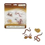 Safari Ltd Life Cycle of a Worm