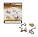Safari Ltd Life Cycle of a Worm