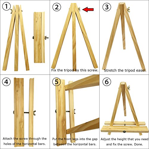 4 Tosnail+Natural+Tripod+Painting+Display