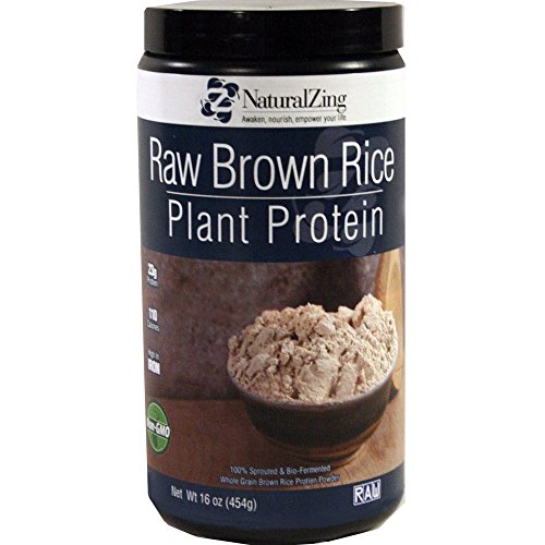 BioFermented Sprouted Brown Rice Protein (Raw, Organic), 16 oz by