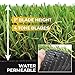 PZG 1-inch Artificial Grass Patch w/Drainage Holes & Rubber Backing | 4-Tone Realistic Synthetic Grass Mat | Heavy & Soft Pet Turf | Lead-Free Fake Grass for Dogs or Outdoor Décor