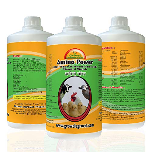 Growel Amino Power – A Blend of 46 Amino Acids, Vitamins, and Minerals for Growth and Immunity of Aqua, Poultry, Cattle, Horse, Pig, Goat, Pigeon and Birds (500 ml.) 2 Growel Amino Power – A Blend of 46 Amino Acids, Vitamins, and Minerals for Growth and Immunity of Aqua, Poultry, Cattle, Horse, Pig, Goat, Pigeon and Birds (500 ml.) - Image 2