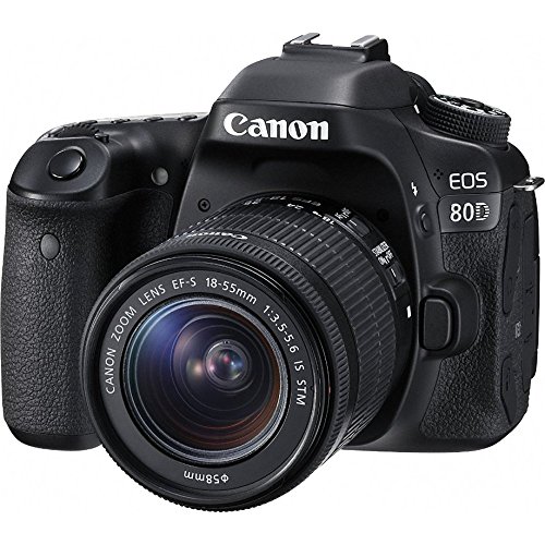 Canon EOS 80D CMOS DSLR Camera + EF-S 18-55mm IS STM & 75-300mm III Lens Kit + Accessory Bundle 64GB SDXC Memory + SLR Photo Bag + Wide Angle Lens + 2x Telephoto Lens + Flash + Remote + Tripod, Bundle