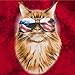 Feline Freedom Kitty Cat in Sunglasses Mens Graphic Tank Top (Large 42/44)