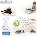 STAIN & ODOR REMOVER – Professional Enzyme Spray – Removes Soiling From Dogs/Cats/Pets – Safely Cleans Carpet/Flooring/Upholstery – Effective On Wine/Blood/Vomit/Urine – Natural Eco Friendly – 32oz