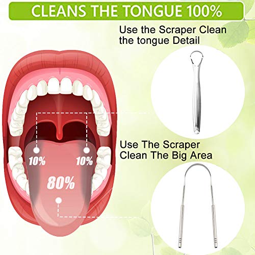 Tongue Scraper Set Cleaner for Adults Kids Surgical Grade Stainless Steel Metal Dental Kit Professional Fresh Breath Maintains Oral Hygiene Scrapers Plaque Removal (Set of 3) - Thumbnail 4
