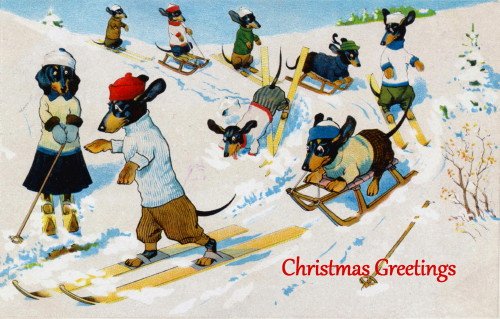 image for Exquisite Images Cards~Prints Vintage Art~Christmas Dressed Dachshund 