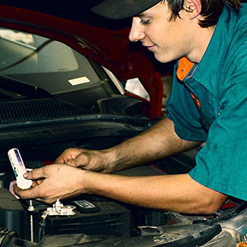 Phoenix Systems 8002-B Double-Ended Test Strip for Coolant + Brake Fluid (Determines When to Replace Coolant and Brake Fluid)