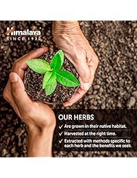 Himalaya Organic 60 cápsulas de bufera energéticas y antiestrés de 670 mg, por 2 unidades