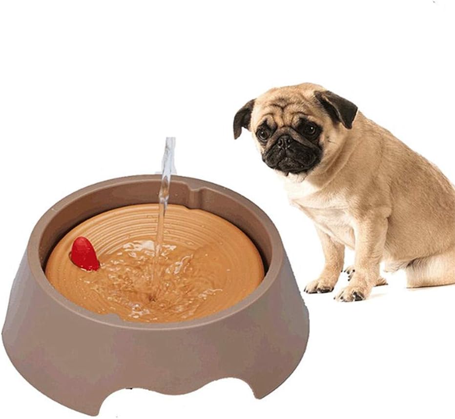 large dog water bowl