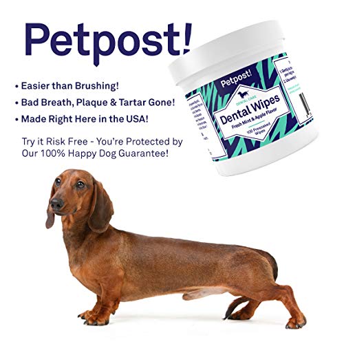 Petpost | Dental Wipes for Dogs - Bad Breath, Plaque and Tooth Decay Gone - 100 Presoaked Pads in Natural Tooth Cleaning Solution