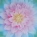 Dream Big~Opal Flower Digital Panel 43