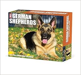 The Christmas Shepherd 2022 Schedule German Shepherds 2022 Box Calendar: Amazon.co.uk: Willow Creek:  9781549220500: Books