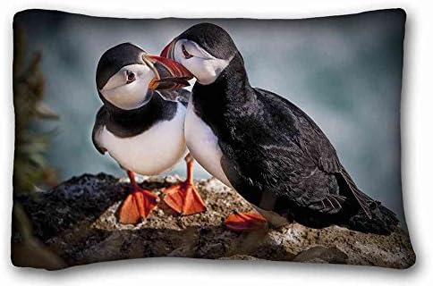 Custom Characteristic ( Animals Birds Rio Stand stone beaks eyes views ) DIY Pillow Cover Size 20"X30" suitable for Full-bed PC-Green-34706