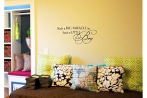 Decalgeek Such a big miracle in such a little boy Vinyl wall art Inspirational quotes and saying home decor decal sticker