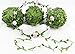 Olive Green Leaves Leaf Trim Ribbon -21.8 Yards, DIY Leaf Headband,DIY Leaf Napkin Rings, Leaf Balloon Tail, DIY Leaf Crown, Leaves Garland, Ribbon Craft Sewing DIY Wedding Bouquet