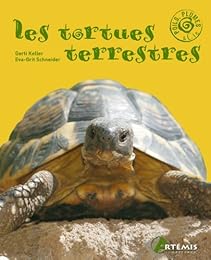 Les  tortues terrestres