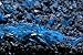 SoShrimp 5 Blue Velvet Shrimp - Neocaridina davidi Live Freshwater Aquarium Shrimp - 1/4 to 1 inch Long