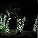 Lychee Solar powered string light 55ft 17m 100 LED Solar Fairy light string for Garden,Outdoor,Home,Christmas Party (17m 100Leds, White)