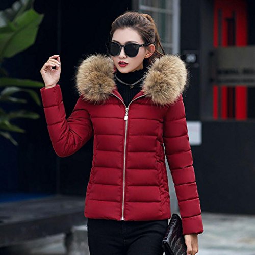 Tsmile Lady Short Coat Victorcn Fashion Solid Women Casual Thicker Winter Warm Slim Down Jacket Overcoat (2X-Large, Wine)