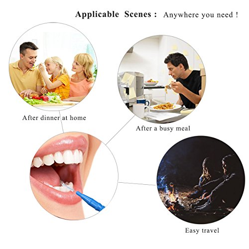 4 Interdental+River+Lake+Toothpick+Cleaners